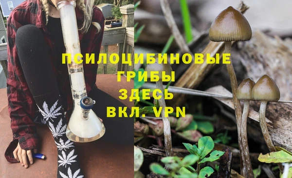метадон Зеленодольск