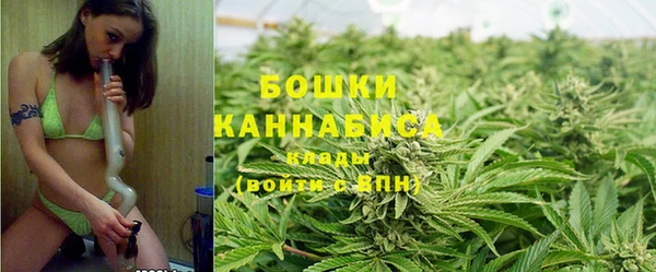 метадон Зеленодольск