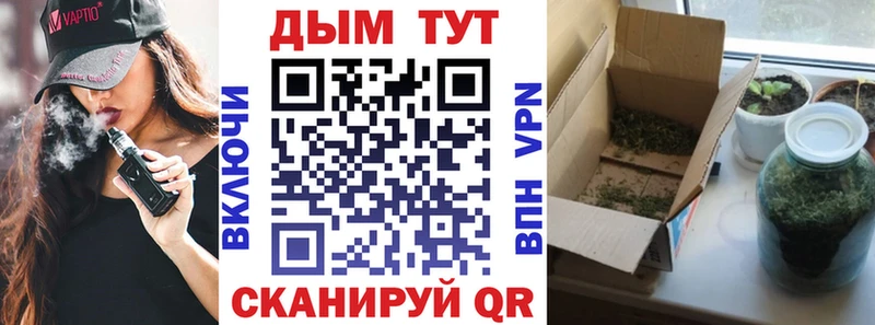 Купить где  Новосиль  Бошки Шишки гибрид 